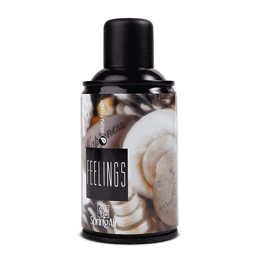Spring Air Duftspray Feelings 250ml - Fragrance Shop